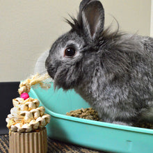 Load image into Gallery viewer, Oxbow Enriched Life Celebration Cupcake - Small Animal Chew Toy

