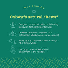 Load image into Gallery viewer, Oxbow Enriched Life Loco Ball - Small Animal Chew Toy
