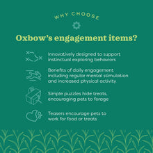 Load image into Gallery viewer, Oxbow Enriched Life Play Wall - Small Animal Chew Toy
