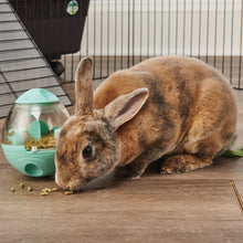 Load image into Gallery viewer, Oxbow Enriched Life Wobble Teaser - Small Animal Food Dispenser

