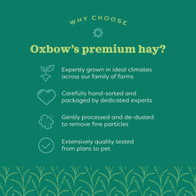 Load image into Gallery viewer, Oxbow Hay Blends - Western Timothy &amp; Orchard 40oz / 1.13kg
