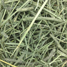 Load image into Gallery viewer, Oxbow Western Timothy 14oz / 1.13kg

