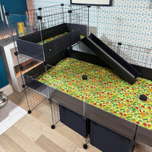 Load image into Gallery viewer, Ozzy Cages 2x1 C&amp;C Narrow Loft Kit - Clear Sided
