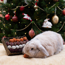 Load image into Gallery viewer, Rosewood Advent Gift &#39;n&#39; Forage Truffle Tray
