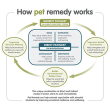 Load image into Gallery viewer, Pet Remedy Small Mammal Calming and Bonding Kit
