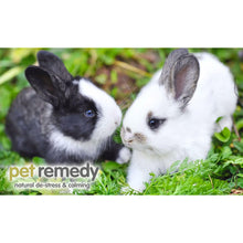 Load image into Gallery viewer, Pet Remedy Small Mammal Calming and Bonding Kit
