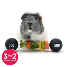 Load image into Gallery viewer, HayPigs!® Piggy Weightlifter™ - Vegetable Kebab Maker
