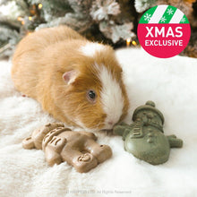 Load image into Gallery viewer, Rosewood Cupid &amp; Comet Veggie Burst Snowman &amp; Teddy Duo for Guinea Pigs &amp; Small Furries 90g
