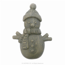 Load image into Gallery viewer, Rosewood Cupid &amp; Comet Veggie Burst Snowman &amp; Teddy Duo for Guinea Pigs &amp; Small Furries 90g
