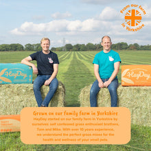 Load image into Gallery viewer, HayDay Tasty Timothy Hay 2.7kg
