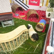 Load image into Gallery viewer, Trixie Hay Manger - Hay Feeder - Large
