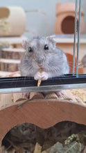 Load and play video in Gallery viewer, Little One Mealworms Snack (for Omnivores Small Animals) 70g
