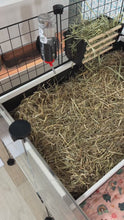 Load and play video in Gallery viewer, Ozzy Kitchenette &amp; Litter Tray for Guinea Pigs
