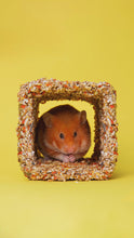 Load and play video in Gallery viewer, Little One Small Tunnel Treat-Toy (for Hamsters, Mice and Gerbils)
