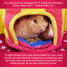 Load image into Gallery viewer, HayPigs!® Circus Pee Pads - Pack of 2
