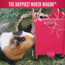 Load and play video in Gallery viewer, HayPigs!® Wheek Wagon™ - Hay Hopper
