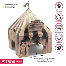 Load image into Gallery viewer, HayPigs!® &#39;Pig Top&#39; Playhouse™ - Pack of 3
