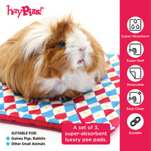 Load image into Gallery viewer, HayPigs!® Harlequin Collection -  Reversible Pads™ - Set of 3
