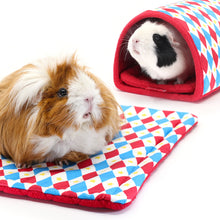 Load image into Gallery viewer, BUNDLE OFFER: HayPigs!® Harlequin Collection – TUNNEL &amp; PADS
