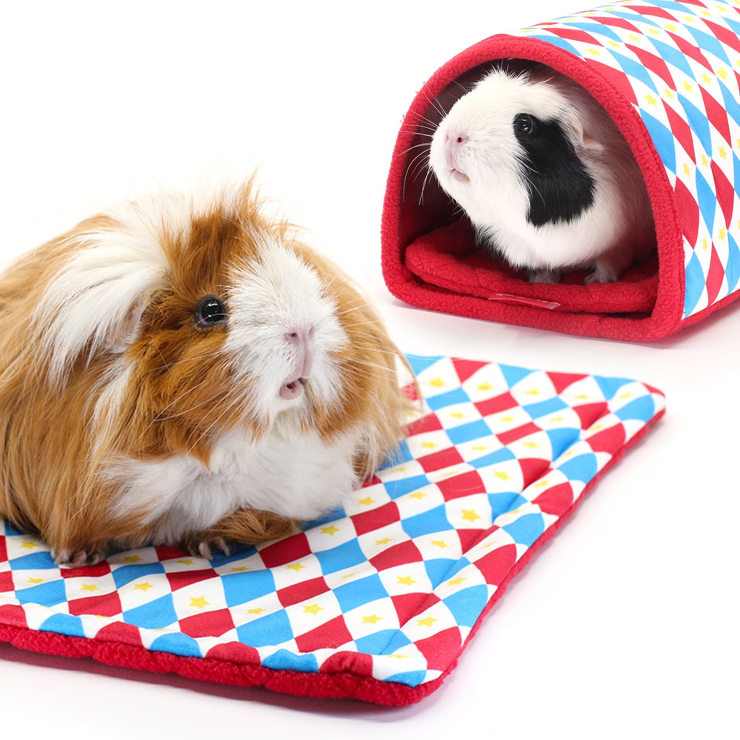 HayPigs Products for Guinea Pigs Rabbits Other Small Animals HAYPIGS