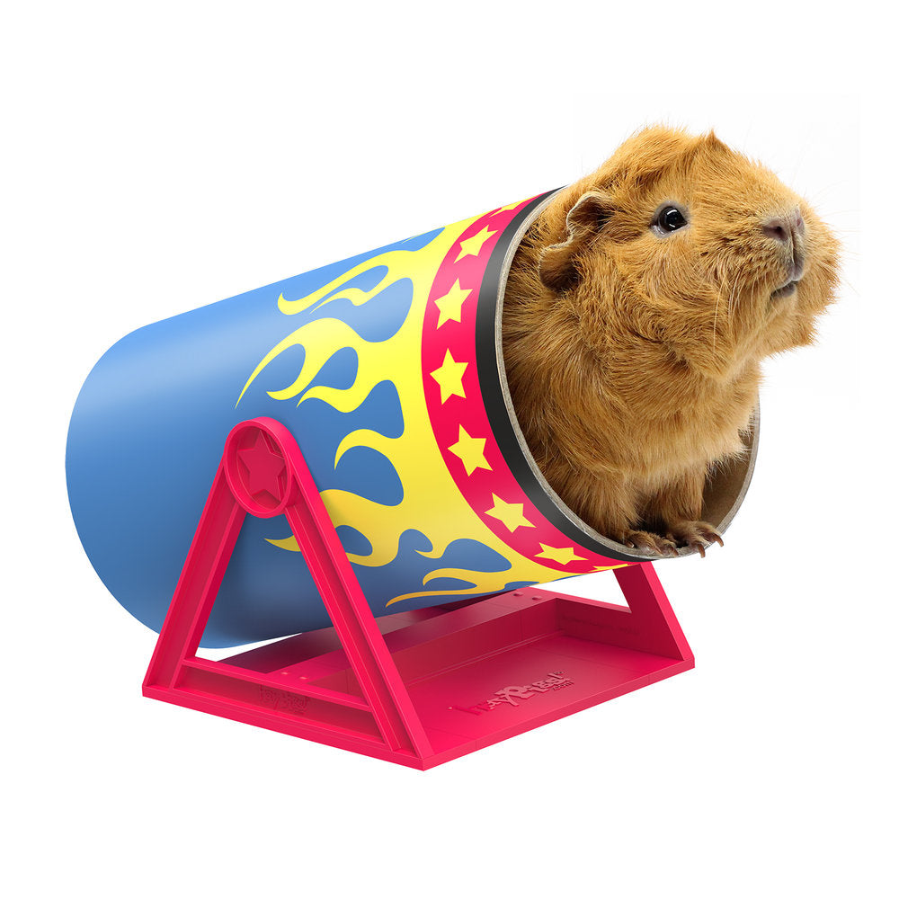 Guinea pig enrichment toys best sale