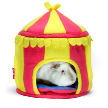 Load image into Gallery viewer, BUNDLE OFFER: The HayPigs!® Guinea Pig Circus™ range - STARTER SET
