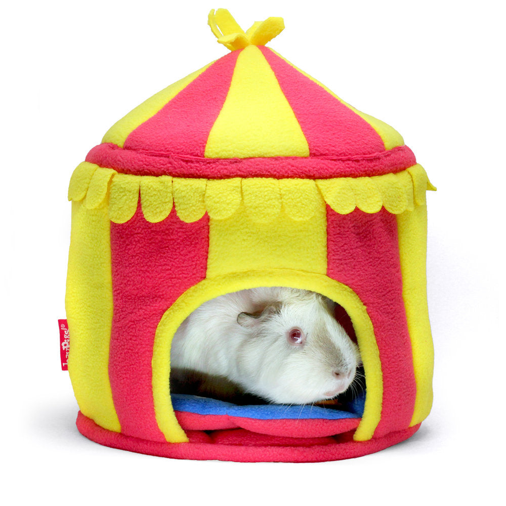 BUNDLE OFFER The HayPigs Guinea Pig Circus range STARTER SET HAYPIGS