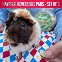 Load and play video in Gallery viewer, HayPigs!® Harlequin Collection -  Reversible Pads™ - Set of 3
