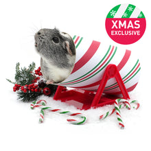 Load image into Gallery viewer, HayPigs!® Cavy Candy Cane™ - Tilting Tunnel
