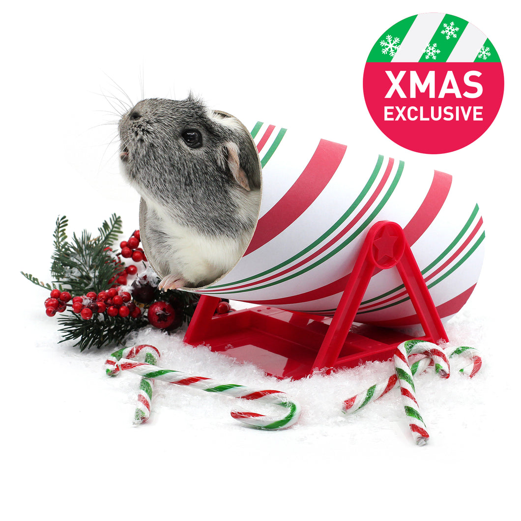 HayPigs!® Cavy Candy Cane™ - Tilting Tunnel