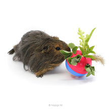 Load image into Gallery viewer, TREAT BUNDLE 1: HayPigs!® Circus Treat Ball™ Bundle - Pea Flakes
