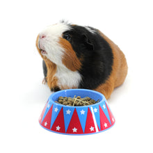 Load image into Gallery viewer, BUNDLE OFFER 3: HayPigs!® Junior Food Tamer™ + HayPigs!® Circus Treat Ball™ + Marriage’s Guinea Pig Pellets 2kg
