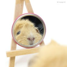 Load image into Gallery viewer, HayPigs!® Piggin&#39; Awesome Pocket Mirror - &#39;Mirror Mirror&#39; Edition
