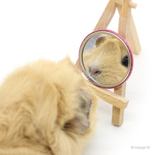 Load image into Gallery viewer, HayPigs!® Piggin&#39; Awesome Pocket Mirror - &#39;I&#39;m A Star&#39; Edition
