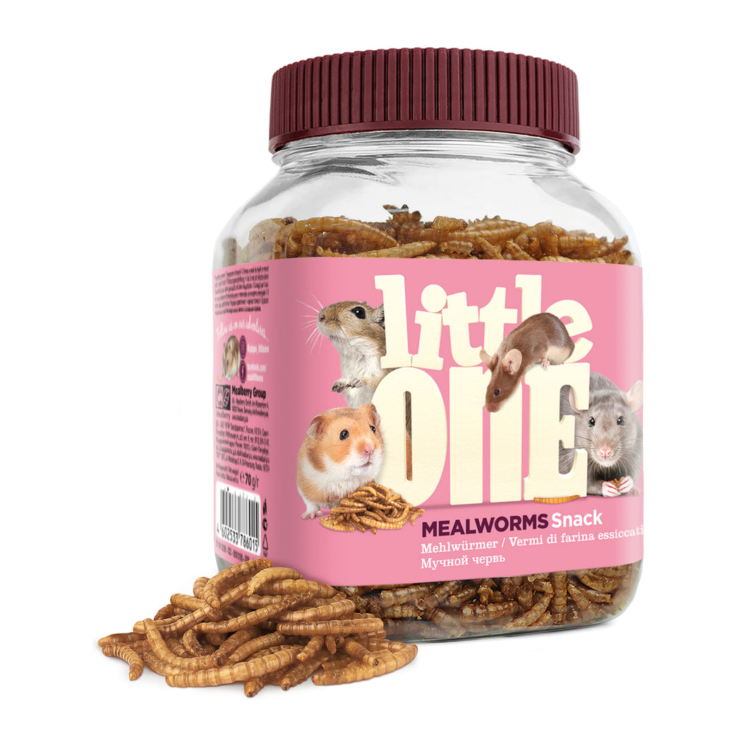 Little One Mealworms Snack 70g