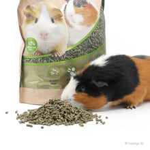 Load image into Gallery viewer, BUNDLE OFFER 3: HayPigs!® Junior Food Tamer™ + HayPigs!® Circus Treat Ball™ + Marriage’s Guinea Pig Pellets 2kg
