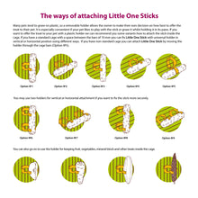 Load image into Gallery viewer, Little One Sticks with Fruit (2 Pack)
